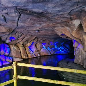 Cave in Rimbula river boat ride