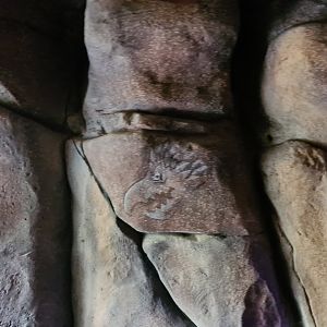 Monster bird mural in Rimbula river boat ride
