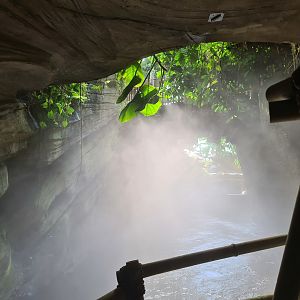 Cave exit in Rimbula river boat ride