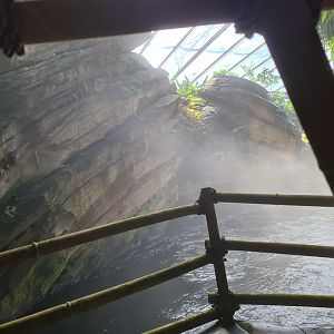 Rimbula river boat ride