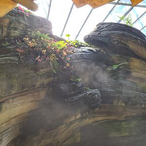 Rockwork in Rimbula river boat ride