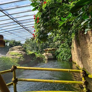 Rimbula river boat ride