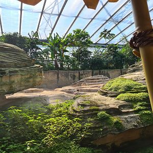 Asian elephant enclosure from Rimbula river boat ride