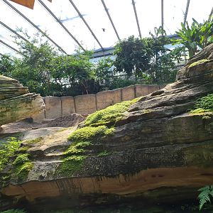 Asian elephant enclosure from Rimbula river boat ride