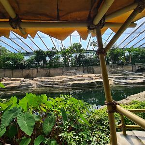 Asian elephant enclosure from Rimbula river boat ride