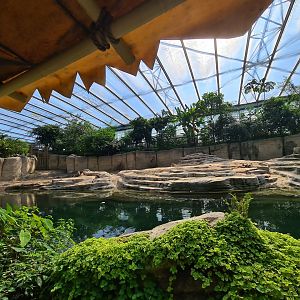 Asian elephant enclosure from Rimbula river boat ride