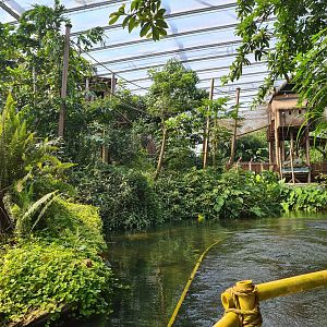 Gibbon island from Rimbula river boat ride