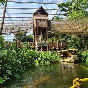 Rimbula river boat ride