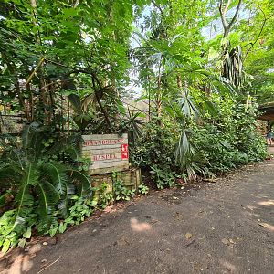 Rimbula - General view