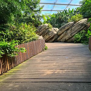 Rimbula - General view