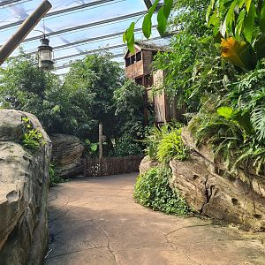 Rimbula - General view