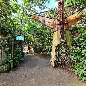 Rimbula - Entrance to Jungle arena