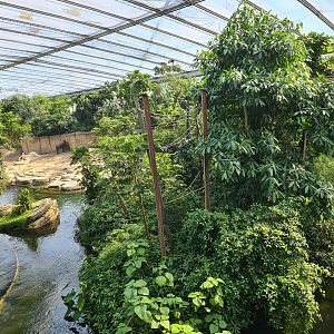 Rimbula - Gibbon island from Jungle trail