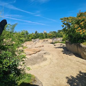 Jungola - Asian elephant enclosure