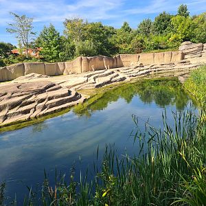 Jungola - Asian elephant enclosure