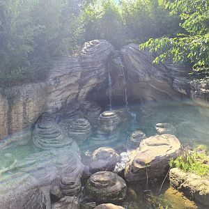 Jungola - Otter brook