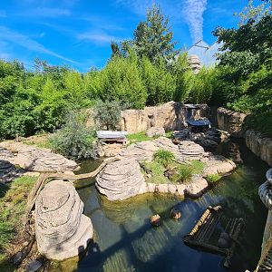 Jungola - Otter brook