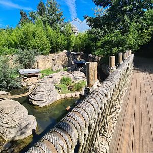 Jungola - Bridge over otter brook