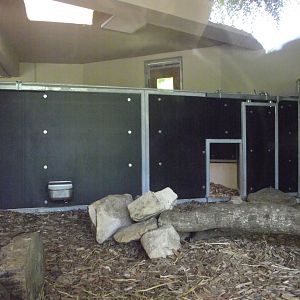 Tasmanian Devils' indoor enclosure - Zooparc de Beauval - 06/2023