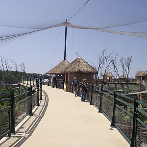 Entrance of the new South American aviary - Zooparc de Beauval - 06/2023