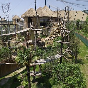 Spider Monkey & Giant Anteater exhibit (South American aviary) - Zooparc de Beauval - 06/2023