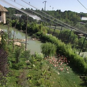 Lake for Flamingos & waterfowl (South American aviary) - Zooparc de Beauval - 08/2023