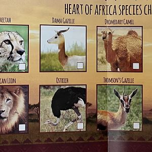 Heart of Africa Checklist - 2014