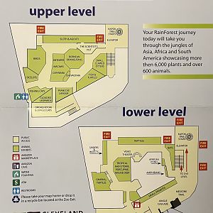RainForest Map - 2010