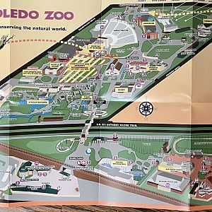 Zoo Map - 2008