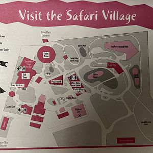 Walking Safari Map - 2010