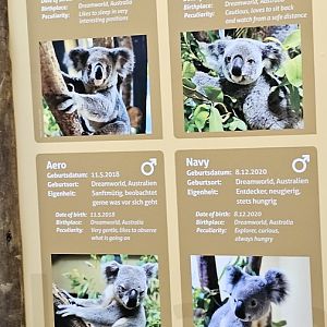 Koala names signage