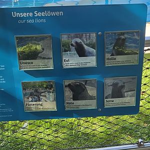 Sealion names signage