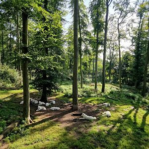 Wolf exhibit, Manitoba