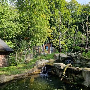 European Beaver/North American porcupine exhibit