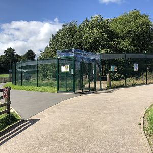 Outside the Red Squirrel Walkthrough Enclosure at Cannon Hall Farm (September 2023)