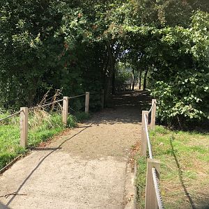 Inside the Red Squirrel Walkthrough Enclosure at Cannon Hall Farm (September 2023)