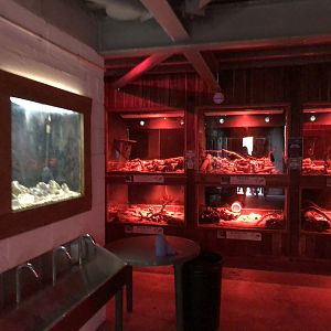 Immediate View of the Mammal House at Cannon Hall Farm (September 2023)