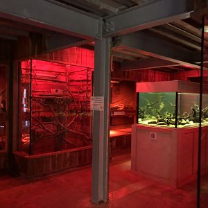 General View Inside the Mammal House at Cannon Hall Farm (September 2023)