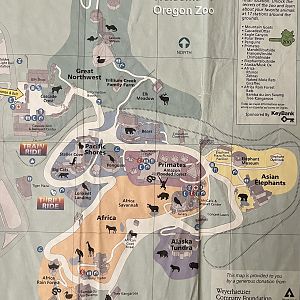 Zoo Map - 2005