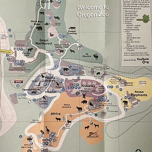 Zoo Map - 2009