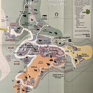 Zoo Map - 2008