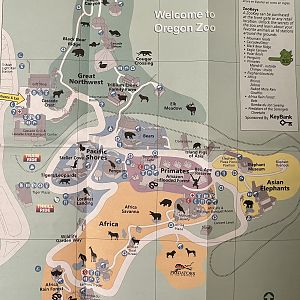 Zoo Map - 2010