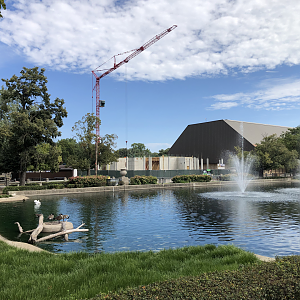 Construction- new gorilla building