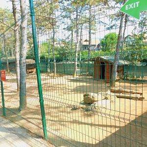 Gazelle habitat at Park Of Istanbul
