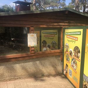 Rabbit enclosure at Park of Istanbul
