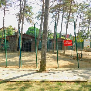 Red Deer Enclosure at Park Of Istanbul