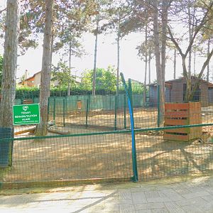 Fallow Deer Enclosure at Park Of Istanbul