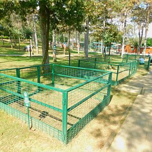 Petting corral Park Of Istanbul