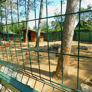 Aoudad enclosure at Park Of Istanbul
