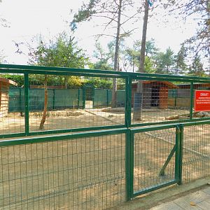 Second Fallow Deer enclosure at Park Of Istanbul